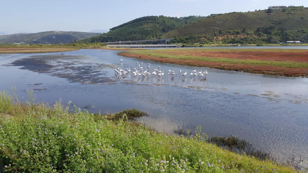 At 29 Columba Hotell Great Brak River Exteriör bild